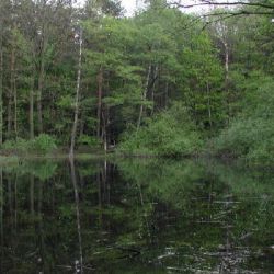 2004.05.08 Wanderung Vogelsdorf007